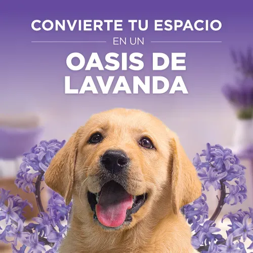 Papel Higiénico Scott Lavanda 6 pack - 320 hojas