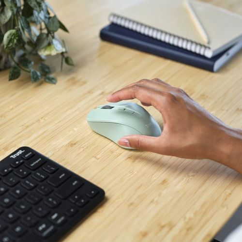 Mouse Ina Eco Trust