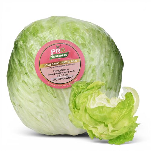 Lechuga Pro Vegetales 1 Unidad por Libra Aproximadamente - Precio indicado por libra