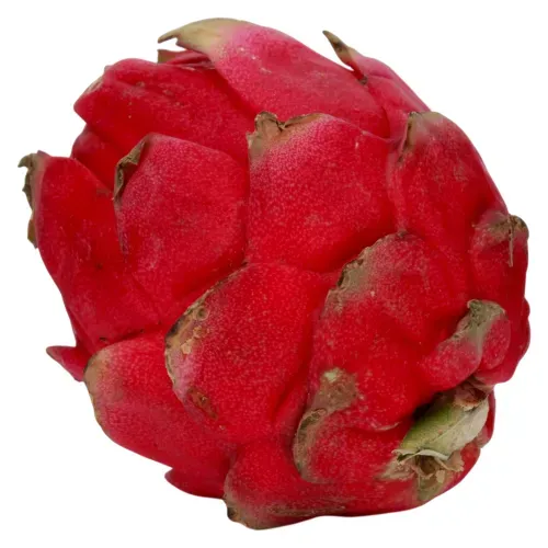 Pitaya Importada Nicaragua Uxc22
