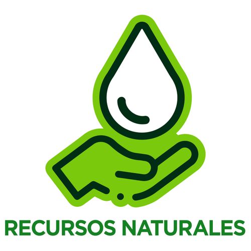 Desengrasante D Motor Ebullient 1000 Ml