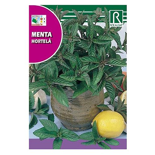 Semilla Rocalba Menta Pipirita