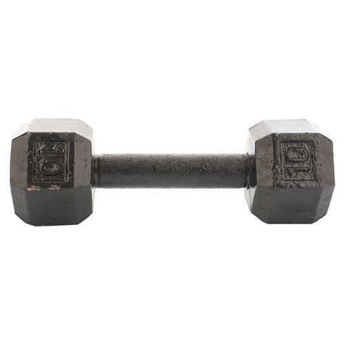Mancuerna De Hierro 10 Lb Athletic Works
