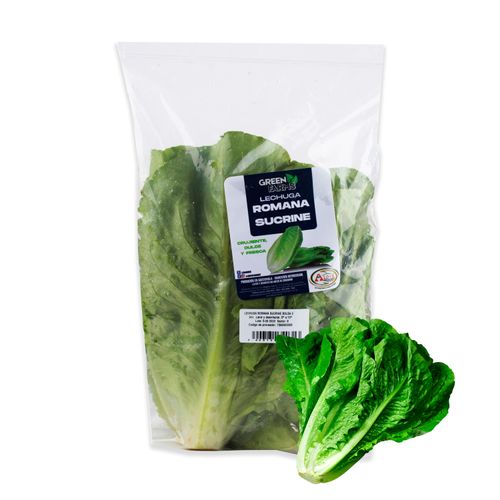 Lechuga Romana Tipo Sucrine Bolsa