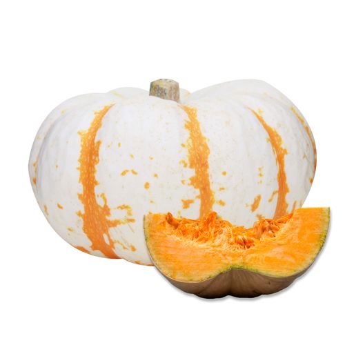 Calabaza Tiger Unidad