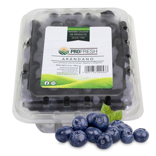 Arándanos Azules Clamshell - 340 g