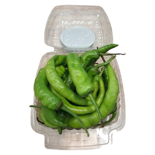 Chile Diente Perro Clam Shalom Uxc24