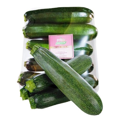 Succini Provegetales bandeja - 5 Uds