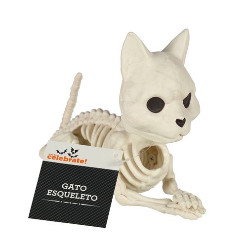 Gato Esqueleto Seasons HK Decorativo