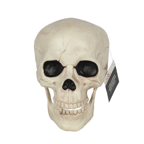 Calavera Seasons HK mandibula movible decorativa