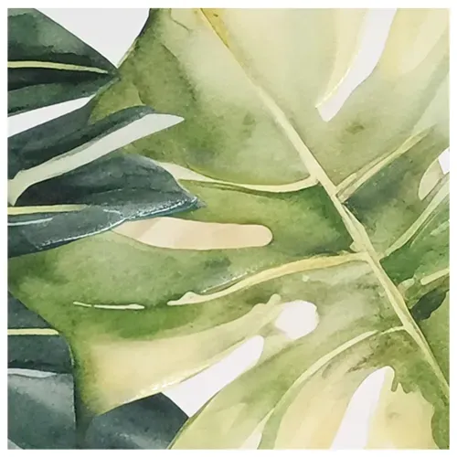 Ms Canvas Disenos Hojas 40x50cm