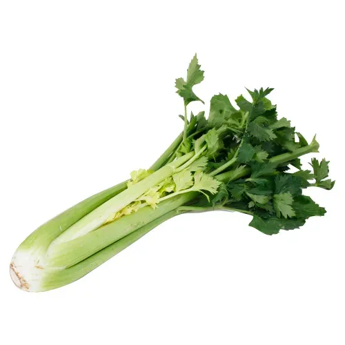 Apio Verde Libra - Unidad Contiene 1.5 Lb. Aproximadamente - Precio indicado por Libra