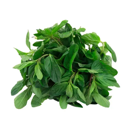 Hierba Buena Manojo Unidad