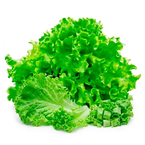 Lechuga Libr